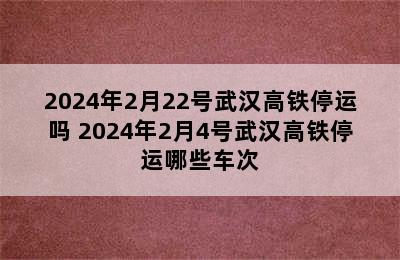 2024年2月22号武汉高铁停运吗 2024年2月4号武汉高铁停运哪些车次